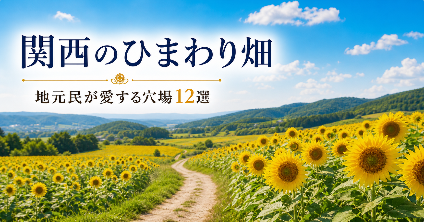関西のひまわり畑｜地元民が愛する穴場12選｜おでかけノート