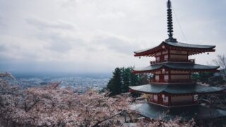 akippaと特Pはどっちが安い？違いを徹底比較【2026年最新】のイメージ
