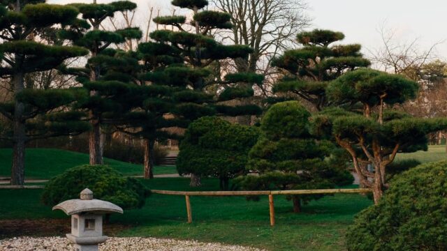 万博記念公園の駐車場のイメージ