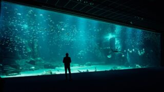 美ら海水族館の駐車場のイメージ