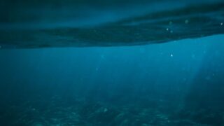 新江ノ島水族館の駐車場のイメージ