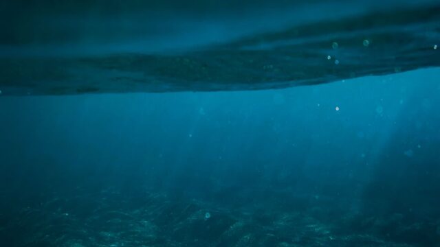 新江ノ島水族館の駐車場のイメージ