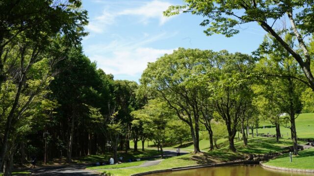 川平湾の駐車場のイメージ