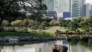 マザー牧場の駐車場のイメージ