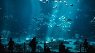 サンシャイン水族館の駐車場のイメージ