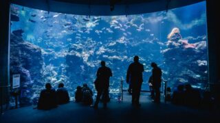 鳥羽水族館の駐車場のイメージ
