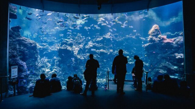 鳥羽水族館の駐車場のイメージ