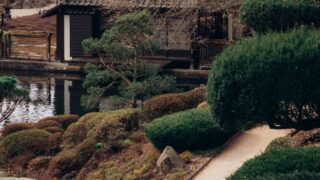 吉野公園の駐車場のイメージ