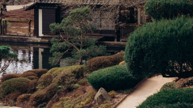 吉野公園の駐車場のイメージ